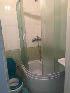 ein Badezimmer mit einem blauen WC und einer Dusche in der Unterkunft Садиба Достаток in Kolomyja