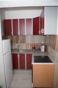 Kuchyň nebo kuchyňský kout v ubytování Apartments Phoenix