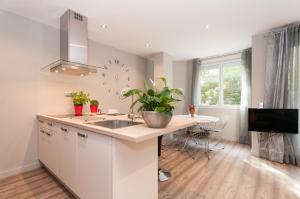 Cuisine ou kitchenette dans l'établissement Montaber Apartments - Sagrada Familia