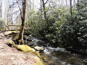 Gambar di galeri bagi 4 Seasons at Beech Mountain di Beech Mountain