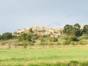 uma cidade no topo de uma colina com um campo em Gites Velaux Ecureuil et Pinède em Velaux