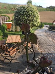Vonkajšia záhrada v ubytovaní Riegler`s Weinhof