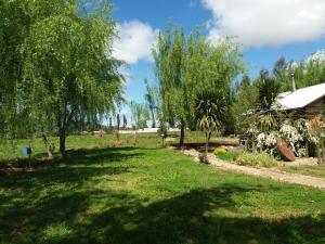 Ein Garten an der Unterkunft Cabañas de Campo Colbún