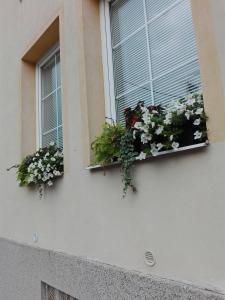una ventana con flores en el lateral de un edificio en Penzion pod Kostelíčkem, en Třebíč