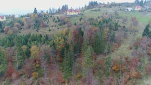 an aerial view of a forest in the fall at u Wilczka in Zwardoń