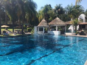 - une piscine dans un complexe avec des palmiers dans l'établissement Posada Los Colorines, à Zinapécuaro de Figueroa