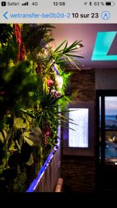 a screenshot of a room with a plant on a wall at B&B Villa sensorielle in Nice