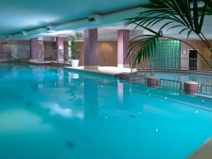 uma grande piscina com água azul e uma palmeira em Camden Court Hotel em Dublin