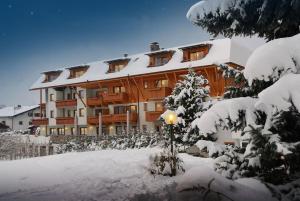 Hotel Ploseblick v zime
