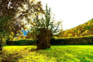 Jardín al aire libre en L'Orri del Pallars