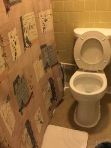 a bathroom with a toilet and a shower curtain at Hope Inn in Lenox