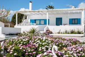Gallery image of Paradis beach home in Molos Parou