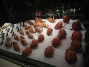 Makanan di atau berdekatan hotel