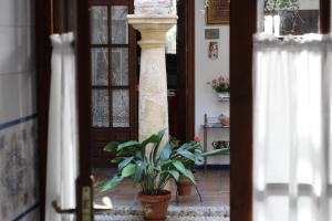 Fotografie z fotogalerie ubytování Casa longa v destinaci Córdoba