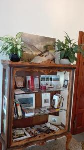 a cabinet filled with lots of appliances and plants at AL 32 B&B in Massa Marittima