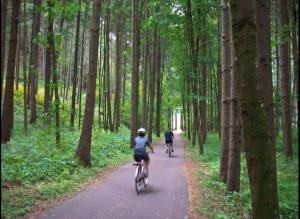 Zwei Leute reiten Fahrrad durch den Wald in der Unterkunft Chaletapartement Ambiente Villa Mozart in Kiens