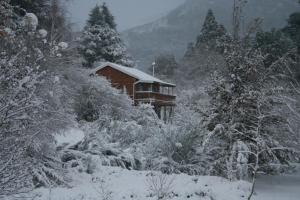 una casa cubierta de nieve junto a algunos árboles en Nibelheim Self Catering Cottage, en Hogsback