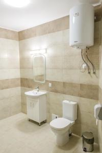 a bathroom with a toilet and a sink at Hostynnyy Dvir in Stryi