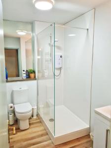 a bathroom with a glass shower with a toilet at The Wee Highland Coo in Edinburgh