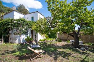 a white house with a tree and a bench at Villa Lindo in Maiori