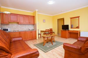 Kuchyň nebo kuchyňský kout v ubytování Hotel Járja