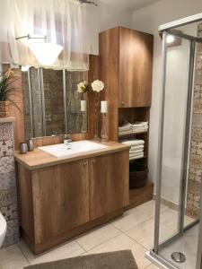 łazienka z umywalką i prysznicem w obiekcie Apartment House 41 w mieście Sopron