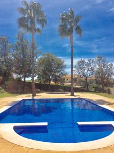 uma piscina com duas palmeiras ao fundo em Rentalbufeira em Albufeira