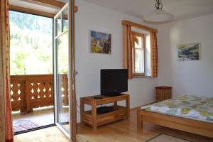 a bedroom with a bed and a tv on a table at Ferienwohnung Zauner in Hallstatt