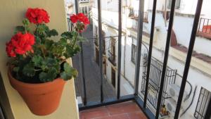 Un balcón o terraza de Patios de San Andrés