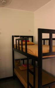 Palanda nebo palandy na pokoji v ubytování Born Free Hostel