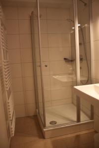 a shower with a glass door next to a sink at Stadtvilla Würzburg in Würzburg