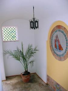 Fotografia z galérie ubytovania Le terrazze di Cristina v destinácii Vietri