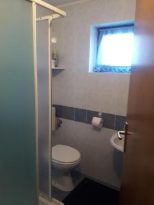 een kleine badkamer met een toilet en een raam bij Apartma Bel in Žaga