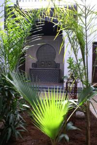 a fireplace in a garden with green plants at Riad Felloussia in Meknès
