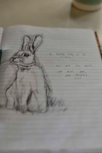 a drawing of a rabbit on a piece of paper at The Burrow Guest House in Tarxien