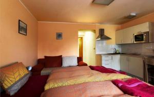 Kleines Zimmer mit einem Bett und einer Küche in der Unterkunft Pension Zelený strom in Mikulov