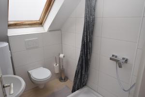 a small bathroom with a toilet and a shower at Apartment Hedelfingen I in Stuttgart