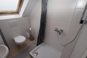 La petite salle de bains est pourvue d'une douche et de toilettes. dans l'établissement Apartment Hedelfingen I, à Stuttgart