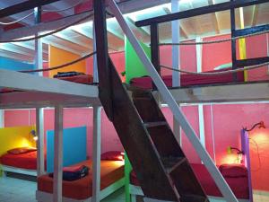a group of bunk beds in a room at Iguana Hostel Oaxaca in Oaxaca City +84 photos