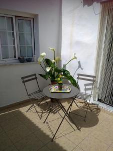 einen Tisch und Stühle mit Topfpflanze drauf in der Unterkunft Estevas de Monsaraz in Monsaraz