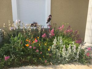 Ein Garten an der Unterkunft Mille et Une Bulles 51