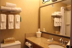 Vonios kambarys apgyvendinimo įstaigoje 3 Rivers Hotel