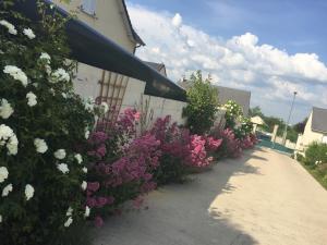 Ein Garten an der Unterkunft Mille et Une Bulles 51