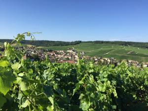 Naturlandschaft in der Nähe des Bed & Breakfasts