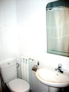 a bathroom with a toilet and a sink and a mirror at Albergue Turístico Rio Aragon in Canfranc-Estación