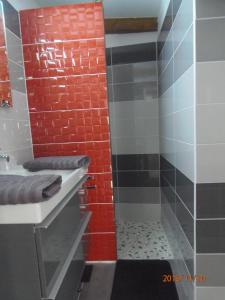 La salle de bains est pourvue d'un lavabo et d'une douche avec du carrelage rouge. dans l'établissement mini villa studio que du bonheur, à Calenzana