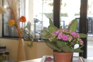 una maceta sentada en una mesa con flores en Hotel Provenza, en Ventimiglia