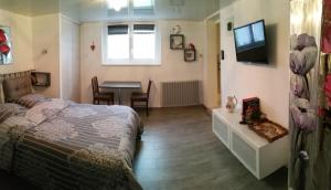 um quarto com uma cama, uma mesa e uma televisão em Joli gîte proche Strasbourg em Breuschwickersheim