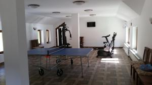 Fitness centar i/ili fitness sadržaji u objektu Pensiunea Lorena