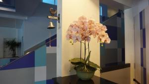 Fotografie z fotogalerie ubytování Siri Hotel Phuket ve městě Phuket